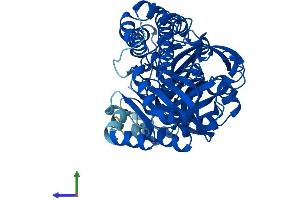 Protein Structure (PS) image for Chromosome 22 Open Reading Frame 28 (C22orf28) (AA 1-505) protein (His tag) (ABIN7551603)