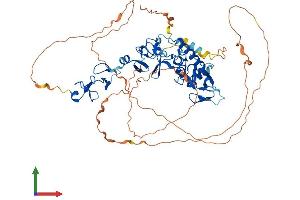 AlphaFold protein structure predicition of Human Recombinant PRICKLE3 Protein, UniprotID O43900
