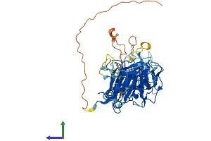 Protein Structure (PS) image for Pellino E3 Ubiquitin Protein Ligase Family Member 3 (PELI3) (AA 1-469) protein (His tag) (ABIN7550627)
