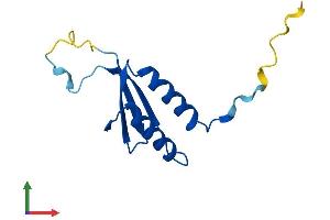 Protein Structure (PS) image for Signal Recognition Particle 14kDa (Homologous Alu RNA Binding Protein) (SRP14) (AA 1-110) protein (His tag) (ABIN7562900)