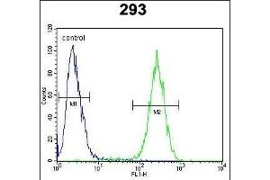 ENSA Antibody (Center) (ABIN654413 and ABIN2844151) flow cytometric analysis of 293 cells (right histogram) compared to a negative control cell (left histogram). (Ensa 抗体  (AA 39-66))