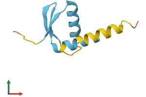 Protein Structure (PS) image for General Transcription Factor IIH, Polypeptide 5 (GTF2H5) (AA 1-71) protein (Fc Tag) (ABIN7559522)