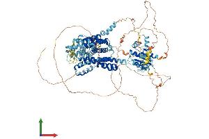 Protein Structure (PS) image for Solute Carrier Family 26 (Sulfate Transporter), Member 8 (SLC26A8) (AA 1-999) protein (His tag) (ABIN7564683)