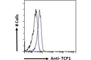 ABIN185185 Flow cytometric analysis of paraformaldehyde fixed HeLa cells (blue line), permeabilized with 0. (TCP1 alpha/CCTA 抗体  (C-Term))