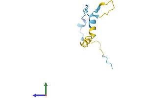 Protein Structure (PS) image for Anaphase Promoting Complex Subunit 13 (ANAPC13) (AA 1-74) protein (Fc Tag) (ABIN7552100)