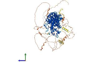 AlphaFold protein structure predicition of Human Recombinant PPP6R1 Protein, UniprotID Q9UPN7