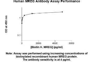 Image no. 1 for anti-Melanoregulin (MREG) (AA 1-214) antibody (ABIN5566795) (MREG 抗体  (AA 1-214))