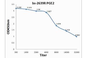 Antigen: 0. (PGE2 抗体  (AA 281-384))