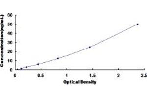 Typical standard curve (MAT1A ELISA 试剂盒)