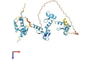 ZNF707 Protein (AA 1-371) (His tag)