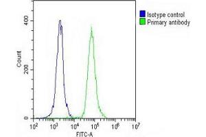 Overlay histogram showing THP-1 cells stained with (ABIN391674 and ABIN2841585) (green line). (CD31 抗体  (C-Term))