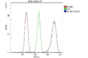 Flow Cytometry analysis of HepG2 cells using anti-EIF4G1 antibody (ABIN7601860).