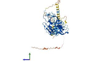 AlphaFold protein structure predicition of Human Recombinant TMPRSS5 Protein, UniprotID Q9H3S3