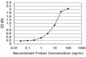 Detection limit for recombinant GST tagged TESK2 is approximately 0. (TESK2 抗体  (AA 405-542))