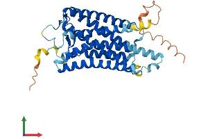 AlphaFold protein structure predicition of Human Recombinant OPN5 Protein, UniprotID Q6U736