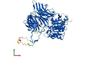 AlphaFold protein structure predicition of Human Recombinant APEH Protein, UniprotID P13798