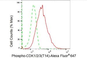 Flow cytometric analysis of Phospho-CDK1/2/3 (T14) expression in HepG2 cells using Phospho-CDK1/2/3 (T14) antibody (ABIN7797995), 1:2,000). (Recombinant CDK1/2/3 (pThr14) 抗体)