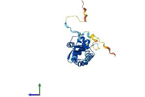 AlphaFold protein structure predicition of Human Recombinant KCTD1 Protein, UniprotID Q719H9