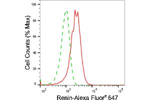 Flow cytometric analysis of Renin expression in HeLa cells using Renin antibody (ABIN7800168), 1:2,000). (Recombinant Renin 抗体)