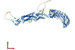 AlphaFold protein structure predicition of Human Recombinant LRRC8A Protein, UniprotID Q8IWT6
