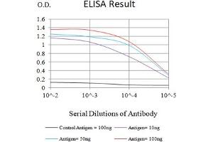 Black line: Control Antigen (100 ng),Purple line: Antigen (10 ng), Blue line: Antigen (50 ng), Red line:Antigen (100 ng) (CD57 抗体  (AA 28-334))