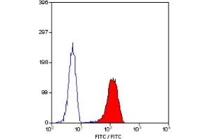 Staining of human peripheral blood granulocytes with MOUSE ANTI HUMAN CD62L:FITC (ABIN118761). (L-Selectin 抗体  (FITC))