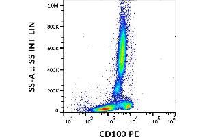 Flow cytometry analysis (surface staining) of human peripheral blood with anti-CD100 (133-1C6) PE. (SEMA4D/CD100 抗体  (PE))