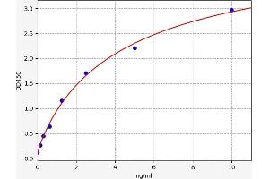 CD45 ELISA 试剂盒