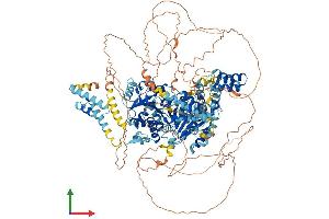 Protein Structure (PS) image for Excision Repair Cross-Complementing Rodent Repair Deficiency, Complementation Group 6-Like (ERCC6L) (AA 1-1240) protein (His tag) (ABIN7564357)