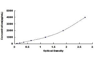 Typical standard curve (PINP ELISA 试剂盒)