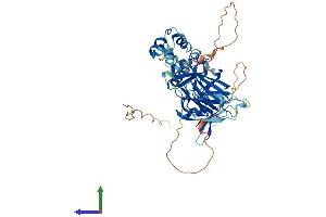 AlphaFold protein structure predicition of Mouse Recombinant Tfcp2 Protein, UniprotID Q9ERA0 (TFCP2 Protein (AA 1-502) (His tag))