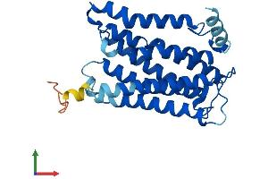 Protein Structure (PS) image for ELOVL Fatty Acid Elongase 1 (ELOVL1) (AA 1-279) protein (His tag) (ABIN7553811)
