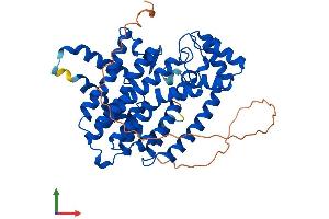 AlphaFold protein structure predicition of Human Recombinant FDPS Protein, UniprotID P14324