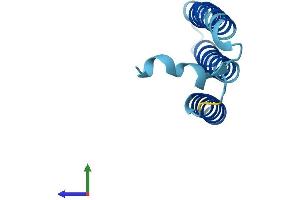 AlphaFold protein structure predicition of Human Recombinant MT-ND4L Protein, UniprotID P03901 (MT-ND4L Protein (AA 1-98) (His tag))