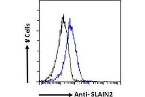 ABIN570761 Flow cytometric analysis of paraformaldehyde fixed NIH3T3 cells (blue line), permeabilized with 0. (SLAIN2 抗体  (Internal Region))