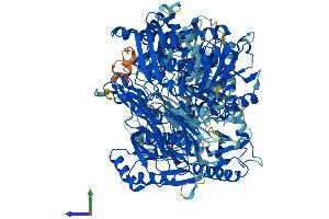 AlphaFold protein structure predicition of Human Recombinant OPLAH Protein, UniprotID O14841 (OPLAH Protein (AA 1-1288) (His tag))