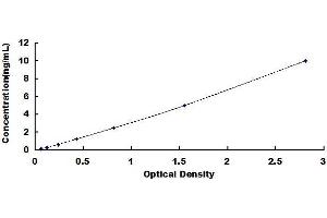 Typical standard curve (ARIP4 ELISA 试剂盒)