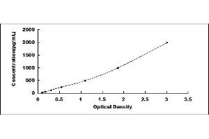 Typical standard curve (Claudin 5 ELISA 试剂盒)