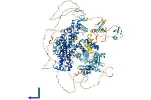 Protein Structure (PS) image for Zinc Finger, MYM-Type 6 (ZMYM6) (AA 1-1325) protein (His tag) (ABIN7556152)