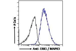 ABIN185399 Flow cytometric analysis of paraformaldehyde fixed A431 cells (blue line), permeabilized with 0. (ERK1 抗体  (N-Term))