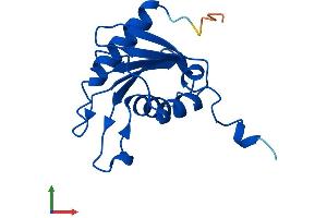 Protein Structure (PS) image for Cytidine Deaminase (CDA) (AA 1-146) protein (His tag) (ABIN7553268)