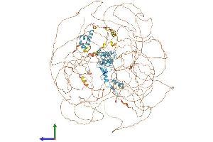 Protein Structure (PS) image for GLI Family Zinc Finger 3 (GLI3) (AA 1-1580) protein (His tag) (ABIN7554024)