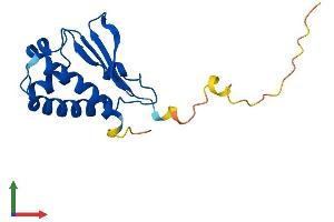 AlphaFold protein structure predicition of Mouse Recombinant Btg2 Protein, UniprotID Q04211