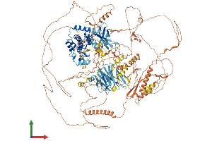 Protein Structure (PS) image for Nik Related Kinase (NRK) (AA 1-1455) protein (His tag) (ABIN7565175)