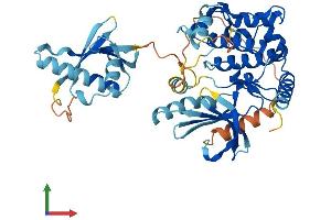 Protein Structure (PS) image for Mitogen-Activated Protein Kinase Kinase 5 (MAP2K5) (AA 1-448) protein (His tag) (ABIN7549506)