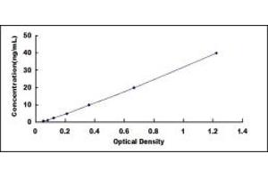 Typical standard curve (MTR ELISA 试剂盒)