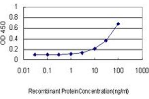 Detection limit for recombinant GST tagged EXOSC8 is approximately 3ng/ml as a capture antibody. (EXOSC8 抗体  (AA 1-276))