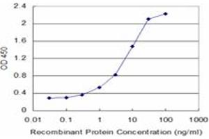 Detection limit for recombinant GST tagged VASN is approximately 0. (Vasn 抗体  (AA 298-349))
