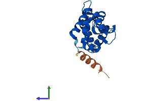 Protein Structure (PS) image for Centrin, EF-Hand Protein, 3 (CETN3) (AA 1-167) protein (His tag) (ABIN7562351)