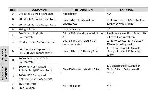 Image no. 5 for Signal Transducer and Activator of Transcription 4 (STAT4) ELISA Kit (ABIN1981841)